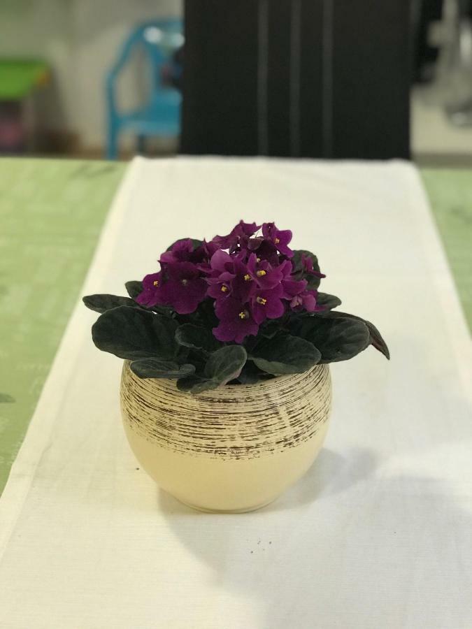 船长公寓 챠브타트 외부 사진